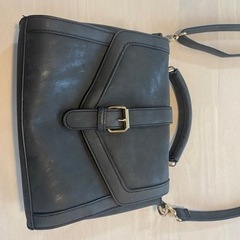 黒のみ　マジェスティックレゴン　ショルダーバッグの画像