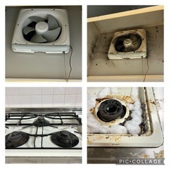 ワンだふるハウスクリーニング！たまには頼んで下さい☝️