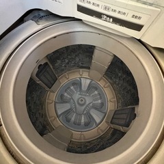 譲渡先決定済みの画像