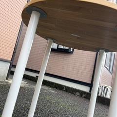 譲渡先決定済みの画像
