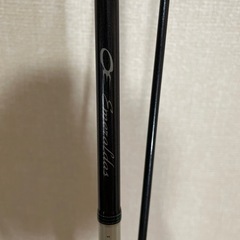 ダイワ　エメラルダスインフィート86MLIの画像