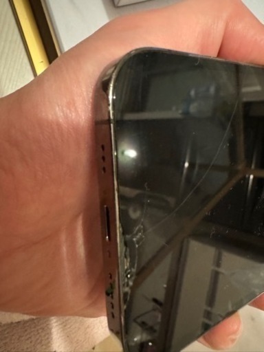 iPhone12 Pro