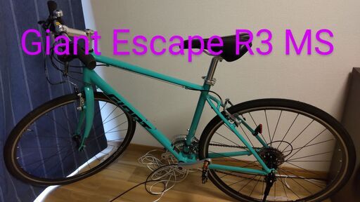 クロスバイク　Giant Escape R3 MS (Green)