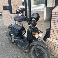 ズーマー50