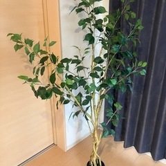 観葉植物　フェイクグリーン