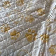 ペットシーツの画像