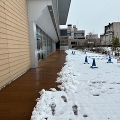 活動日：2月6日(火) 7回目※中止 - 中野区