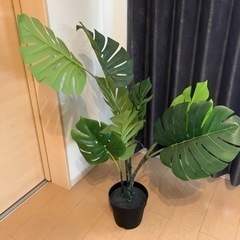 IKEA 観葉植物　フェイクグリーン