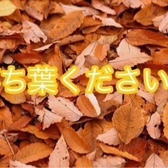 落ち葉譲ってください〚随時募集‼️〛
