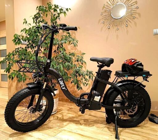 Lafly E-bike 電動自転車 1000W 48V 15ah (Yasin Efe) 砂田橋の電動