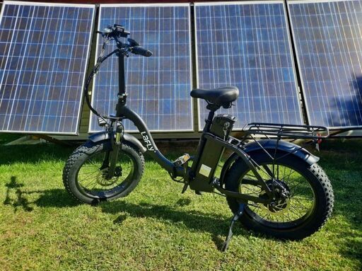 Lafly E-bike 電動自転車 1000W 48V 15ah (Yasin Efe) 砂田橋の電動