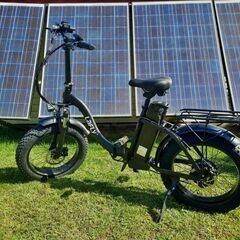 Lafly E-bike 電動自転車 1000W 48V 15ah (Yasin Efe) 砂田橋の電動