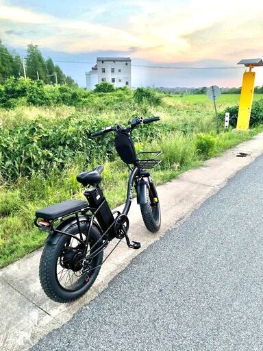 Lafly E-bike 電動自転車 1000W 48V 15ah