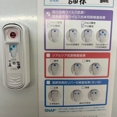 人懐っこいキャリア黒猫ちゃん女の子 − 埼玉県
