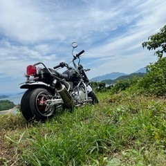 モンキー　125の画像