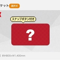 名古屋グランパス2024ファンクラブプラチナコース特典の画像