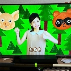 【値下げ！！】50型Panasonic VIERA ハイビジョン液晶テレビ　TH-50AS630