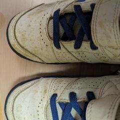 子供用テニスシューズ17cm adidas 