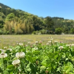困りごとに対応します！(一応有料)