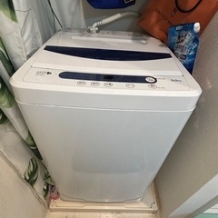 家電 生活家電 洗濯機