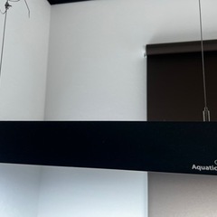 ADA水槽の画像