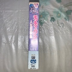 モンティ・パイソン 人生狂騒曲 日本語字幕スーパー版 VHSの画像