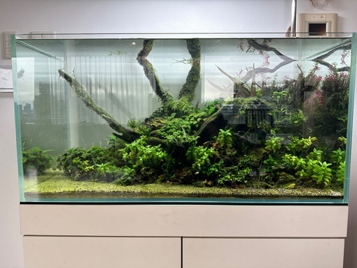 ADA 90P water tank (W90×D45×H45) and set up