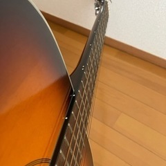 Aria アコースティックギター ギター アコギの画像
