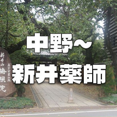 生類憐みの令による犬屋敷、新井薬師公園、平和資料展示室など中野の...