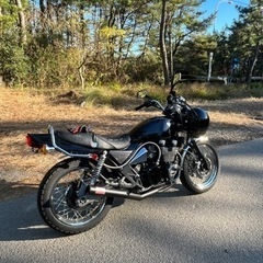 ゼファーxの画像