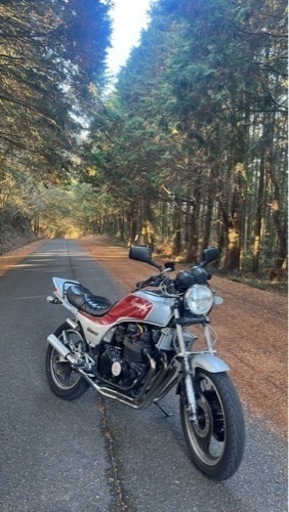 バイク GPZ400f  gp gpz