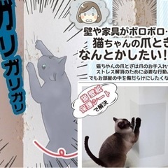動物看護師監修】 猫 壁紙保護シートはがせる 壁紙シール 貼りやすい 爪研ぎ防止シート ひっかき 防止 半透明 目立たない壁/家具/キッチンなどの傷 汚れ防止 の画像
