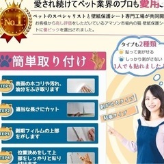 動物看護師監修】 猫 壁紙保護シートはがせる 壁紙シール 貼りやすい 爪研ぎ防止シート ひっかき 防止 半透明 目立たない壁/家具/キッチンなどの傷 汚れ防止 の画像