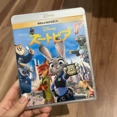 ディズニー　ズートピア　美品