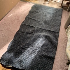 こたつの掛け毛布の上