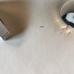 マッサージ業務ベッド（自動）の画像