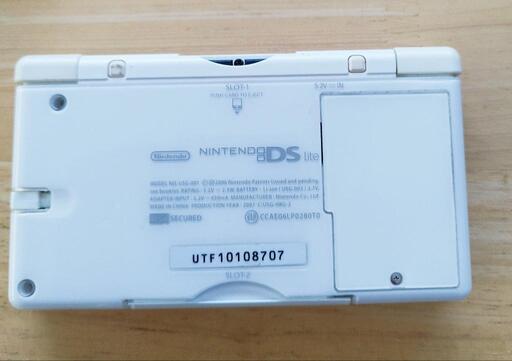 任天堂 - 任天堂 DS Lite ゲーム Nintendo　本体と DSソフト　10個　セ 任天堂 DS Lite ゲーム Nintendo 本体と DSソフト10個セット