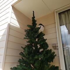 クリスマスツリー　少し大きめの画像
