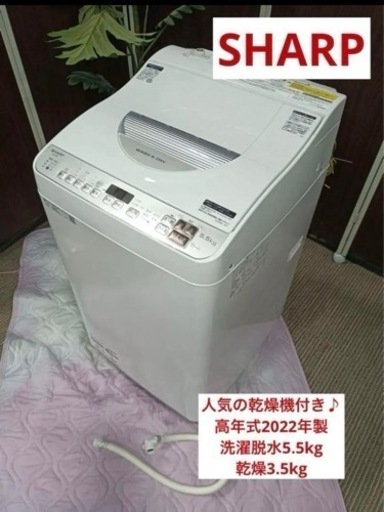 F1255【乾燥機付き♪高年式2022年製】SHARP 洗濯乾燥機　ES-TX5F-S  5.5kg