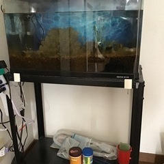 熱帯魚用水槽  一式  引き取り相手が決まりました！