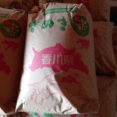【一旦終了します】令和５年産 玄米  30kg (中讃から)