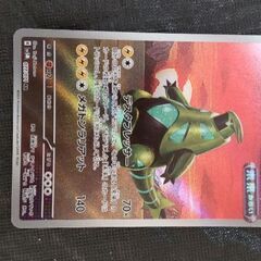 ポケカ　AR　テツノイバラ　未来