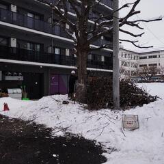 2/8 【枝拾い他】のアルバイト