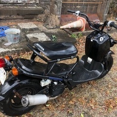 ホンダ　ズーマー　原付の画像