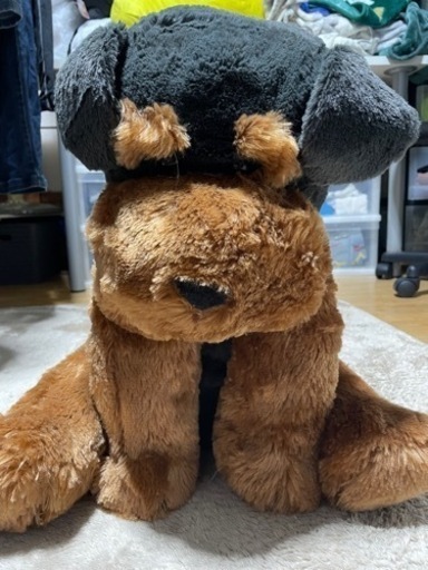 犬の大きなぬいぐるみ