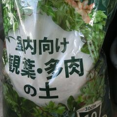 観葉、多肉の土（室内向け）