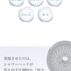 マイトレックスシャワーヘッドの画像