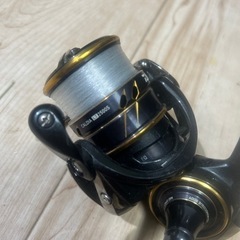 ダイワ　カルディア　LT 2500 S Daiwa リールの画像