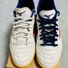 ミズノ　モナルシーダネオサラセレクト　26.0cmの画像