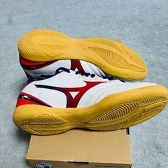 ミズノ　モナルシーダネオサラセレクト　26.0cmの画像